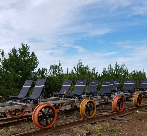 A row of sleek, black rail bikes on a track, surrounded by green trees and a blue sky.