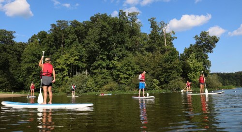 A group of people paddleboarding on a calm lake surrounded by lush green trees under a blue sky.