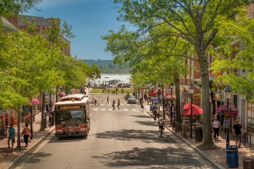 A vibrant street scene with a bus, pedestrians, and trees, leading to a waterfront area on a sunny day.