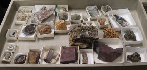A tray filled with various geological specimens and minerals, each in small white boxes.