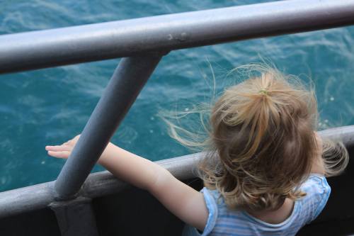 A child with curly hair leans against a railing, gazing at the water below on a boat.
