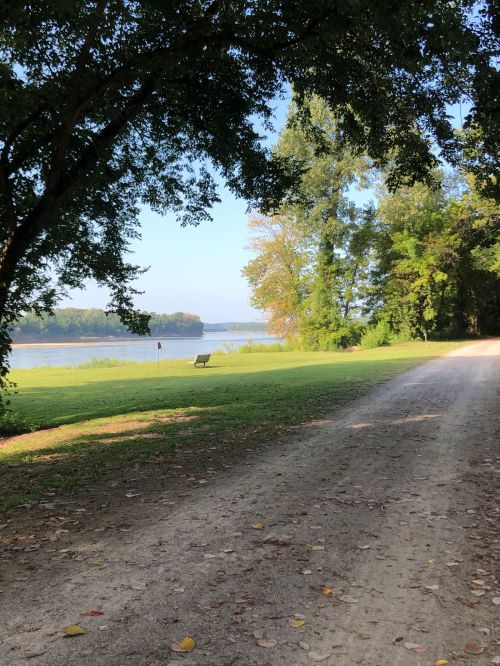 A serene river view framed by trees, with a grassy area and a gravel path leading to the water.