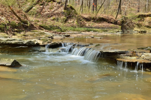 A serene stream flows over rocky ledges in a wooded area, surrounded by trees and natural greenery.