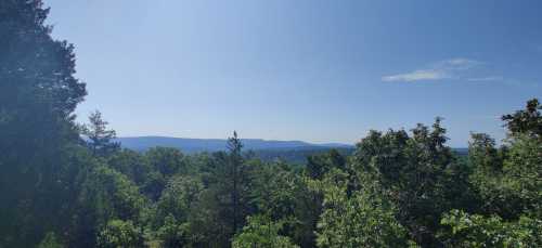 A panoramic view of lush green trees and distant mountains under a clear blue sky.