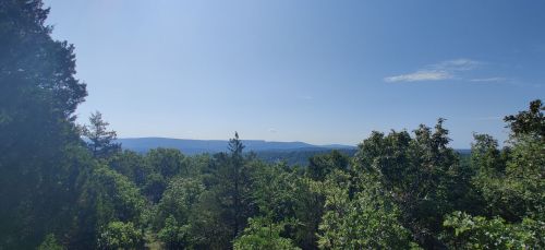 A panoramic view of lush green trees and distant mountains under a clear blue sky.
