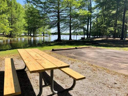 A wooden picnic table by a serene lake, surrounded by lush green trees and a clear blue sky.