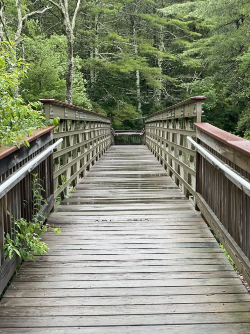 A wooden bridge leads through lush greenery, surrounded by trees and a peaceful natural setting.