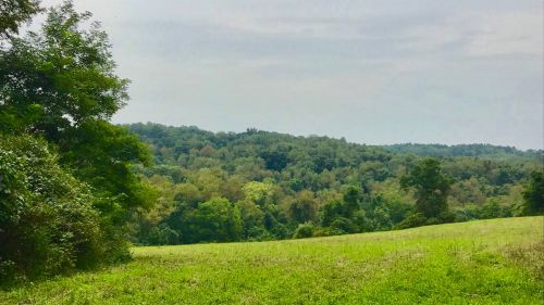 Lush green landscape with rolling hills and trees under a cloudy sky.