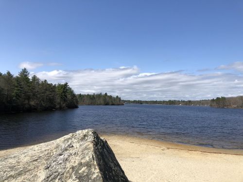 A serene lake scene with a sandy shore, surrounded by trees under a blue sky with scattered clouds.