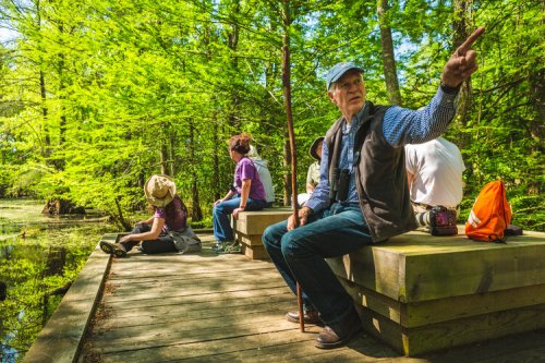A group of people sitting on a wooden platform in a lush green forest, with one man pointing and talking.