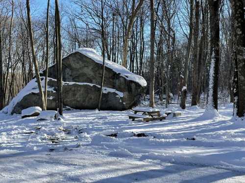 A snowy landscape featuring a large boulder and a picnic table surrounded by trees.