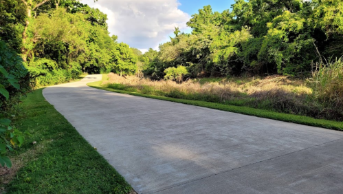 A winding concrete path surrounded by lush greenery and trees under a partly cloudy sky.