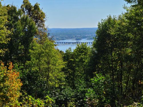 A scenic view of a river and bridge framed by lush green trees under a clear blue sky.