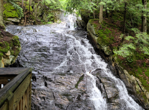 A serene waterfall cascading over rocky terrain, surrounded by lush green trees and moss.