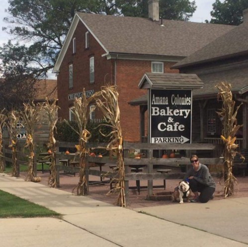 A person with a dog sits in front of a bakery and café, surrounded by autumn decorations and pumpkins.
