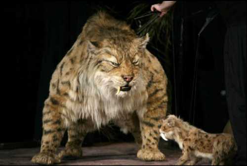 A large, realistic saber-toothed tiger stands next to a smaller version, both on leashes, in a theatrical setting.