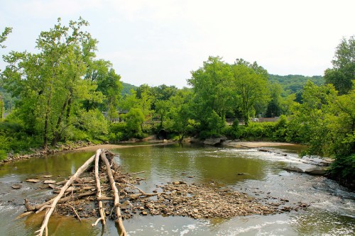 A serene river scene with green trees, rocky banks, and fallen logs, under a clear sky.