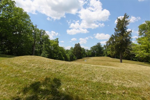 A grassy landscape with rolling hills, scattered trees, and a blue sky dotted with fluffy white clouds.