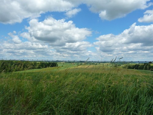 A scenic view of rolling green fields under a blue sky filled with fluffy white clouds.