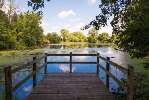 A wooden dock extends over a serene pond surrounded by lush greenery and blue skies.