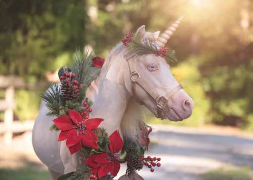 A unicorn adorned with a festive wreath of red flowers and greenery, set against a sunlit outdoor background.