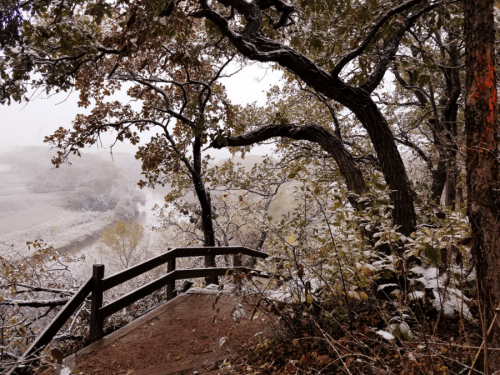 A misty landscape with trees and a wooden railing, covered in a light dusting of snow.