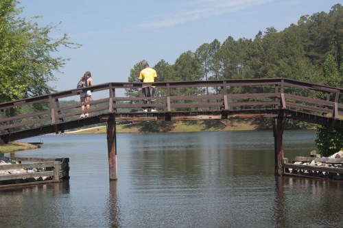 Two people walk on a wooden bridge over a calm lake, surrounded by trees and a clear blue sky.