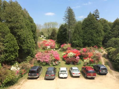 A scenic garden filled with colorful flowers and greenery, with several parked cars in the foreground.