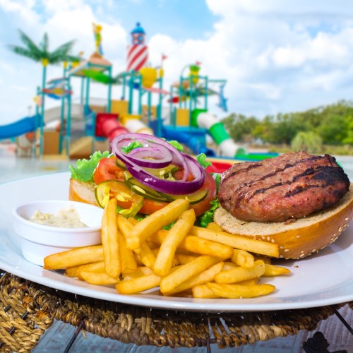 A juicy burger with lettuce, tomato, and onion, served with fries, in front of a colorful water park.