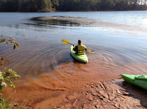 A person in a yellow shirt paddles a green kayak on a calm lake surrounded by trees.