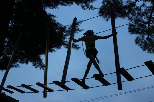 A silhouette of a person balancing on a high rope course against a twilight sky, surrounded by trees.