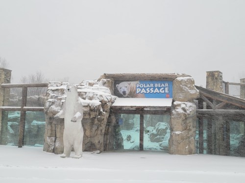 Entrance to the Polar Bear Passage at a zoo, covered in snow with a polar bear statue in front.