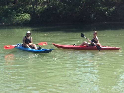 Two people kayaking on a calm river, one in a blue kayak and the other in a red kayak, surrounded by greenery.