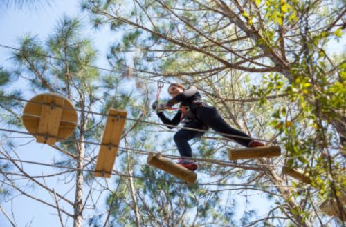 A person navigates a high ropes course among trees, balancing on wooden beams against a blue sky.