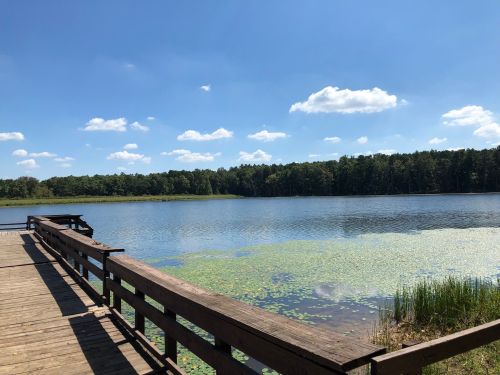 A serene lake view with a wooden dock, surrounded by lush greenery and a clear blue sky dotted with clouds.