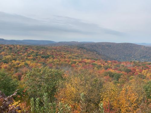A scenic view of rolling hills covered in vibrant autumn foliage, showcasing shades of orange, yellow, and green.