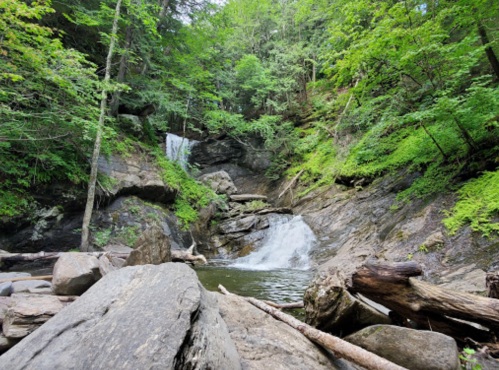 A serene forest scene featuring two small waterfalls cascading over rocky terrain, surrounded by lush greenery.