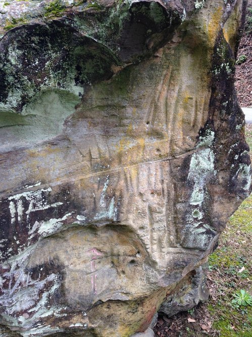 Petroglyphs carved into a large rock surface, featuring various abstract designs and markings, surrounded by moss.