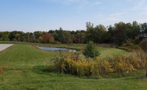 A serene landscape featuring a small pond surrounded by lush greenery and colorful autumn trees under a clear blue sky.