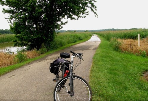 A bicycle parked on a path beside a grassy area and a calm waterway, surrounded by trees and tall grass.