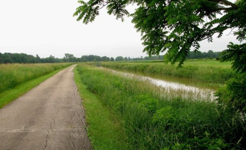 A peaceful pathway alongside a grassy field and a calm waterway, framed by trees under a cloudy sky.