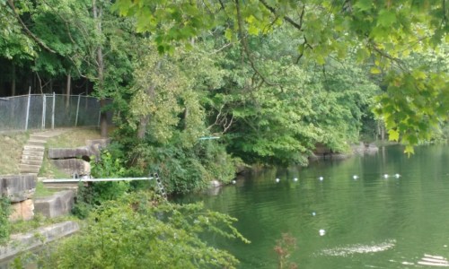 A serene lake surrounded by lush greenery, with steps leading down to the water and a fence in the background.