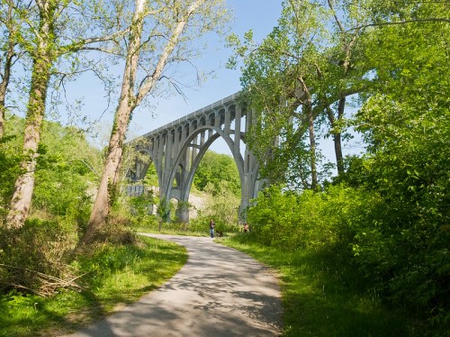 A tall concrete bridge arches over a path surrounded by lush green trees and foliage on a sunny day.