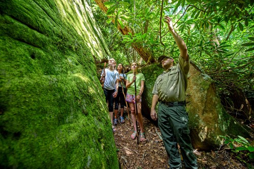 A park ranger points out plants to a group of four people in a lush, green forest setting.