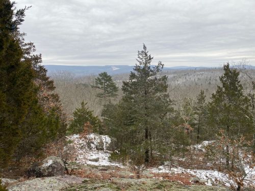 A scenic view of a forested landscape with rocky outcrops and distant mountains under a cloudy sky.