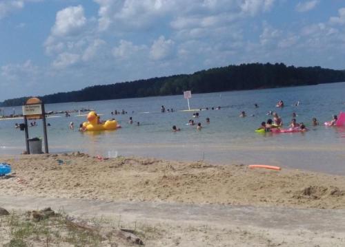 A sandy beach with people swimming and playing in the water, featuring a large inflatable duck in the foreground.