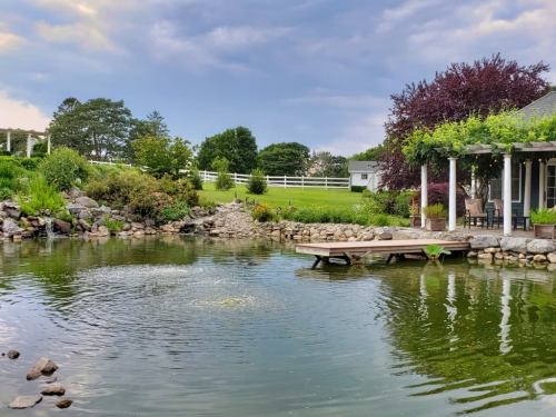 A serene pond surrounded by lush greenery and a wooden dock, with a house and cloudy sky in the background.