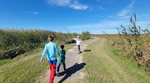 Three children walking along a path through tall grass under a clear blue sky.