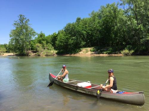 Two people in a canoe on a calm river, surrounded by lush green trees under a clear blue sky.