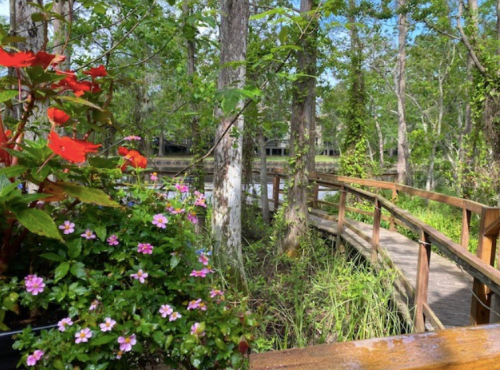 A wooden walkway winds through lush greenery, with colorful flowers in the foreground and trees surrounding the path.